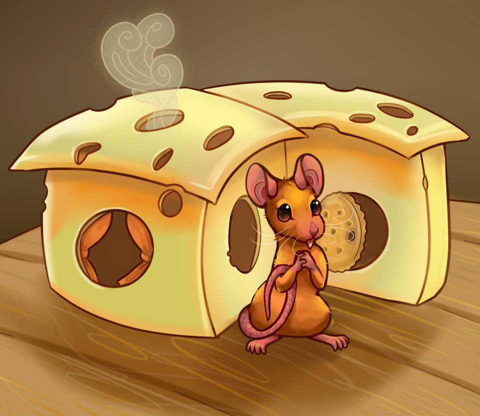 Cottage cheese by X--O