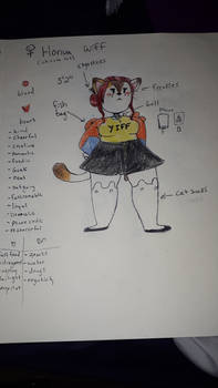 Honua Wiff the Chinese glass cat OC Refernce Sheet