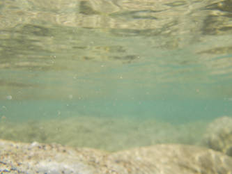River Serio - Underwater