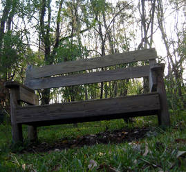 bench at lake alice