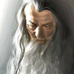 Gandalf the Grey by bickbong