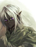 Drizzt by egosun
