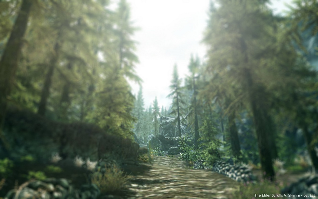 Skyrim Screenshot 1