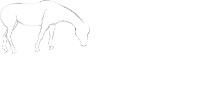 Horse In Progress 2