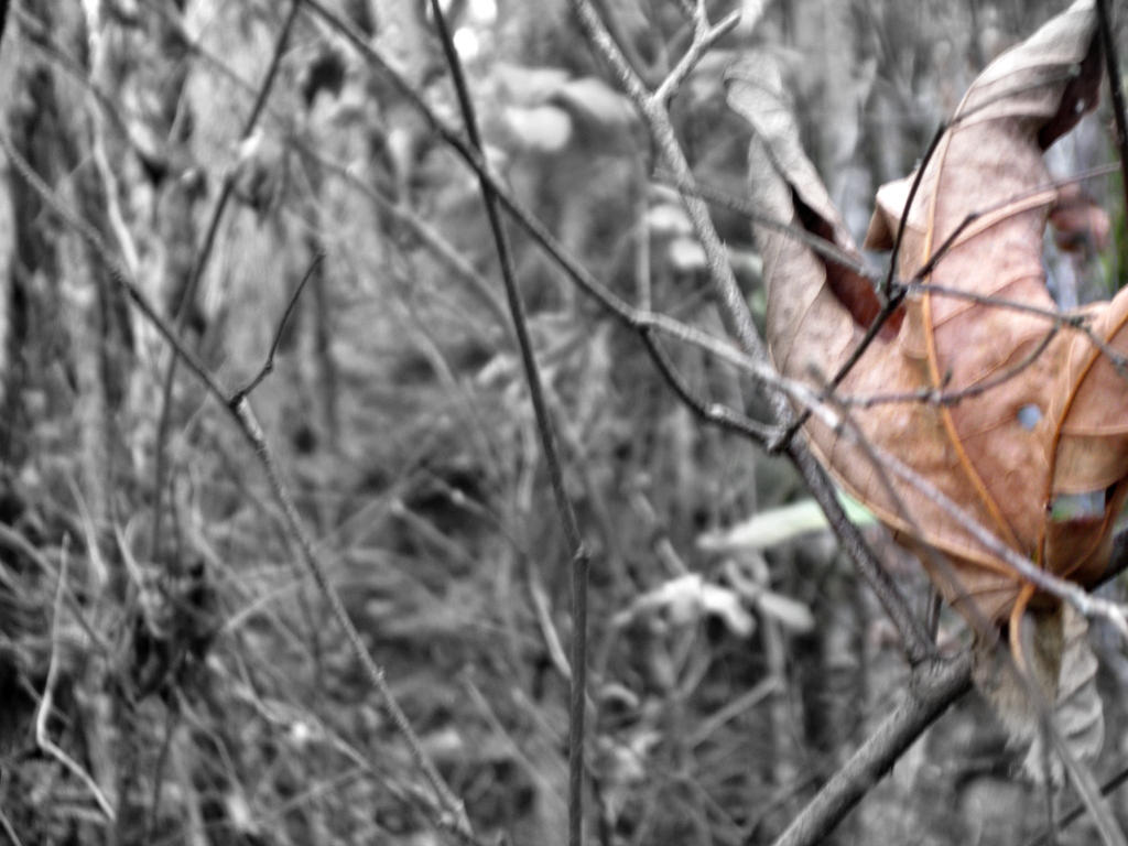 Fading Life by ARRO132113 on DeviantArt