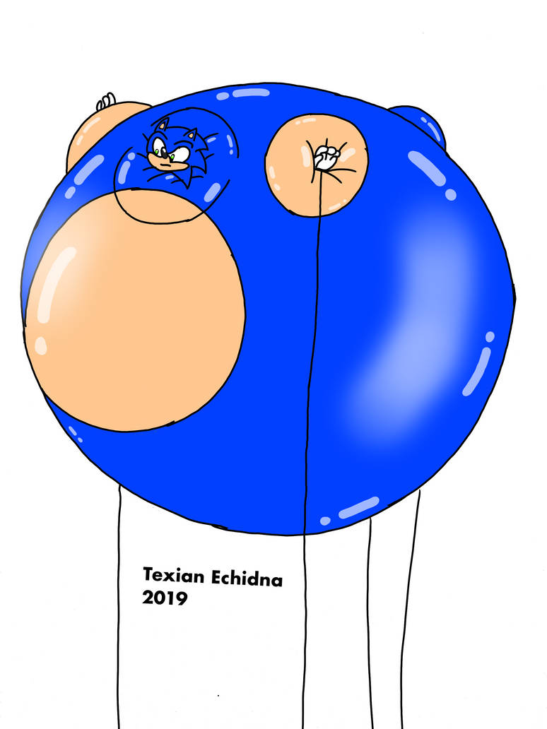 inflated_sonic_by_texanaggie_dd5viaf-pre.jpg