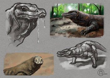 Komodo Dragon Study