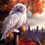 Hedwig