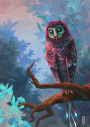 Owl Creature