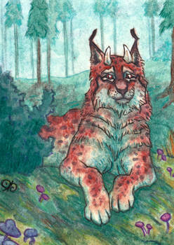 ACEO: Cora For LynxFang