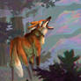 Day 6 - Maned Wolf