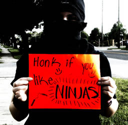 Honk If You Like Ninjas