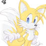 Tails_Okay