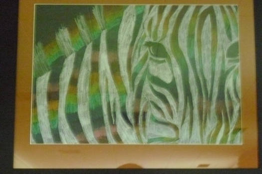 niji zebra