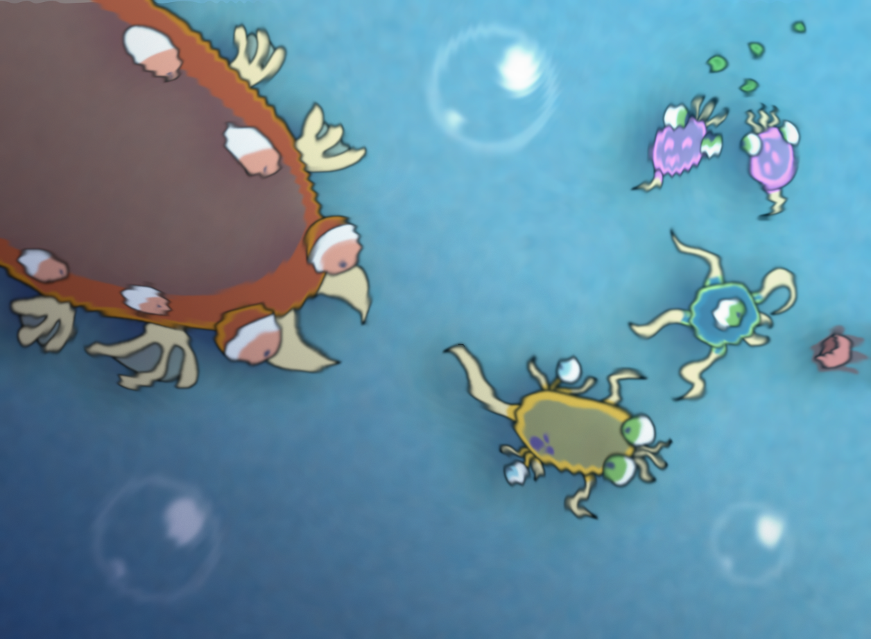 Deviantart Spore Cells from spore intro by RasyTheRadical on DeviantArt