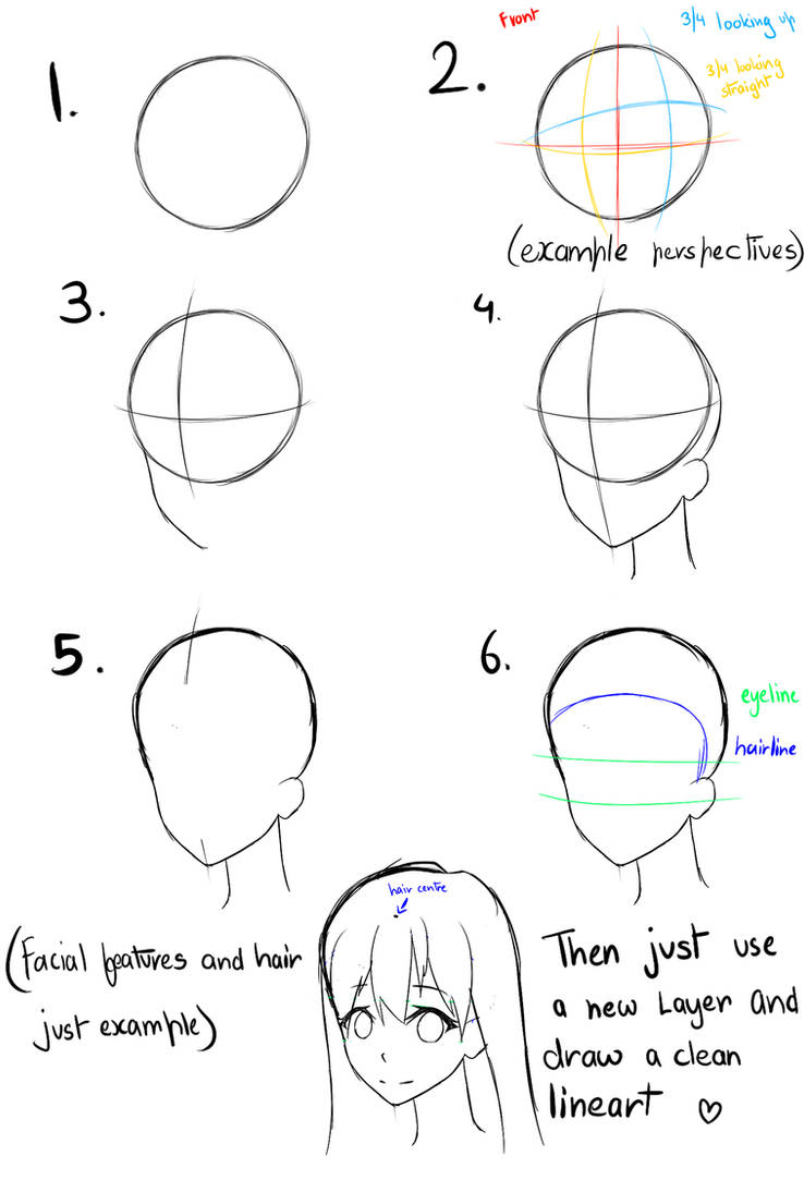 head tutorial by Reenaki on DeviantArt