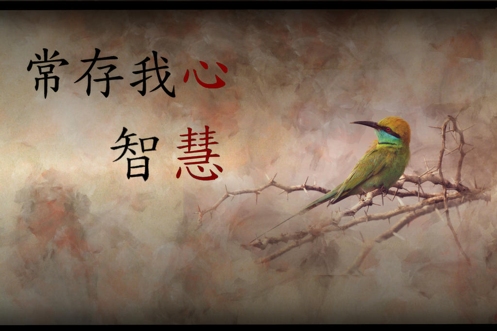 Asian Bird Wallpaper