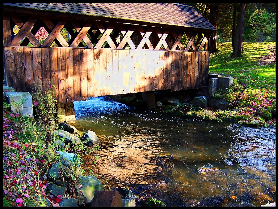 Autumn Afternoon