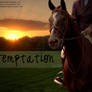 Temptation Horse Manipulation