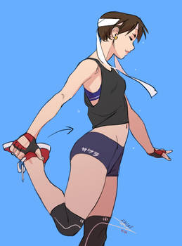 Street Fighter Stretches - Sakura