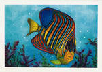 Royal Angelfish - Watercolor Painting by ElomaArts