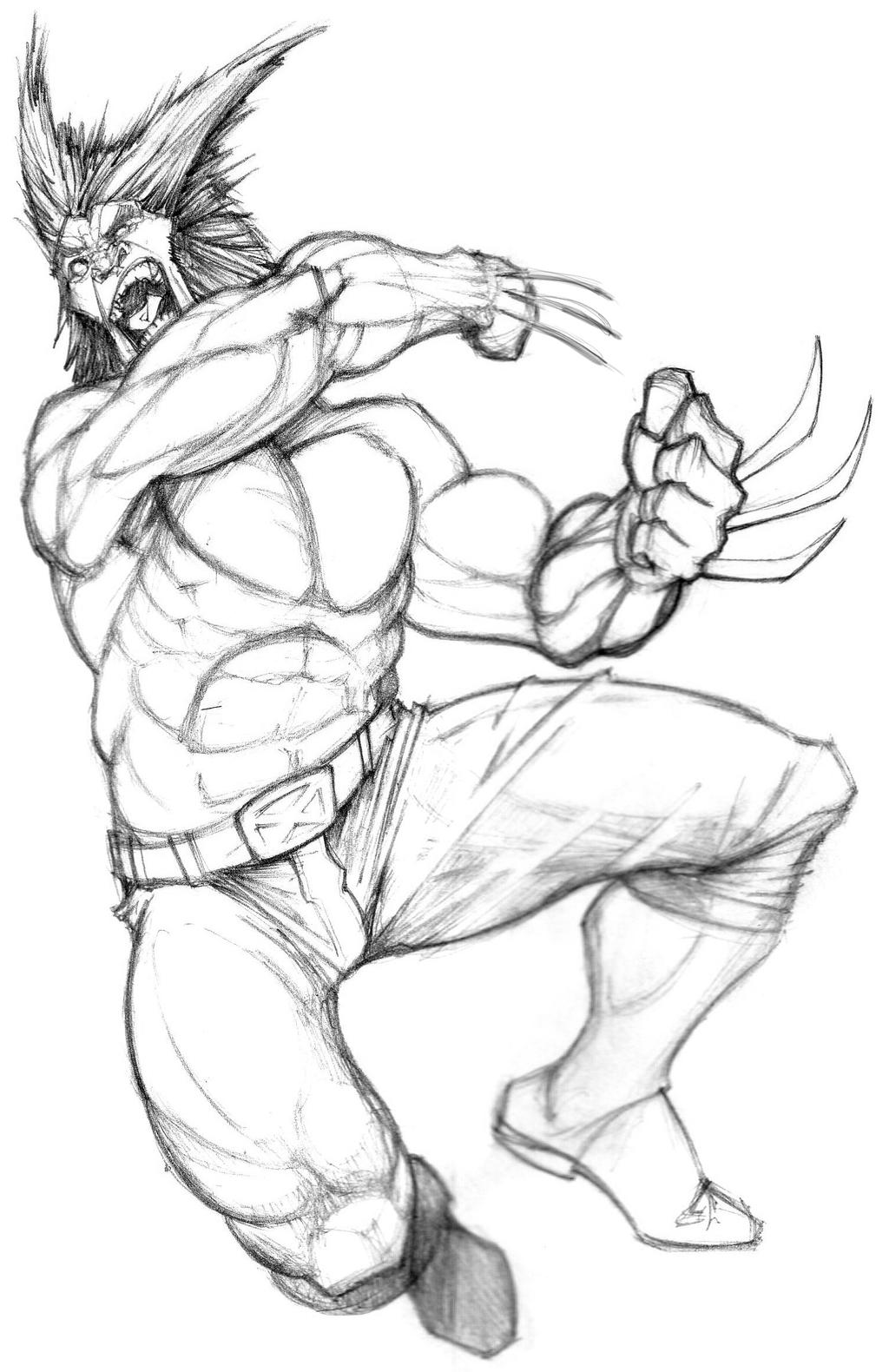 Wolverine Sketch