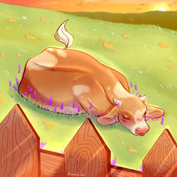 Cow on a flower field