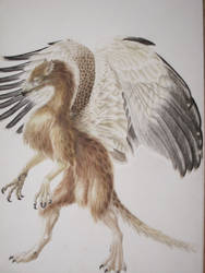 griffin