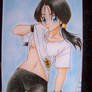 Videl (lapices de color)