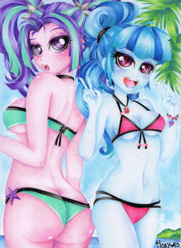 Aria and Sonata on the beach