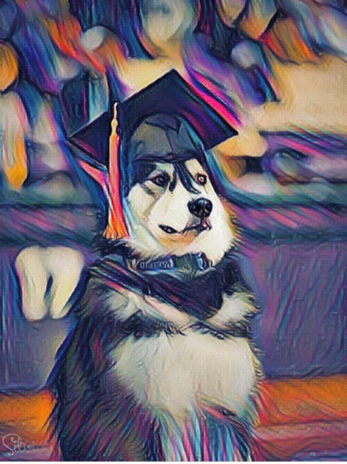 Majestic Husky Graduates by AutobotShadedown on DeviantArt