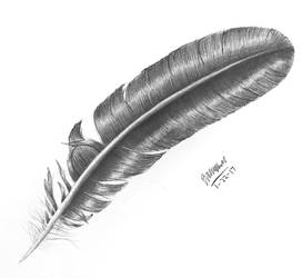 Feather