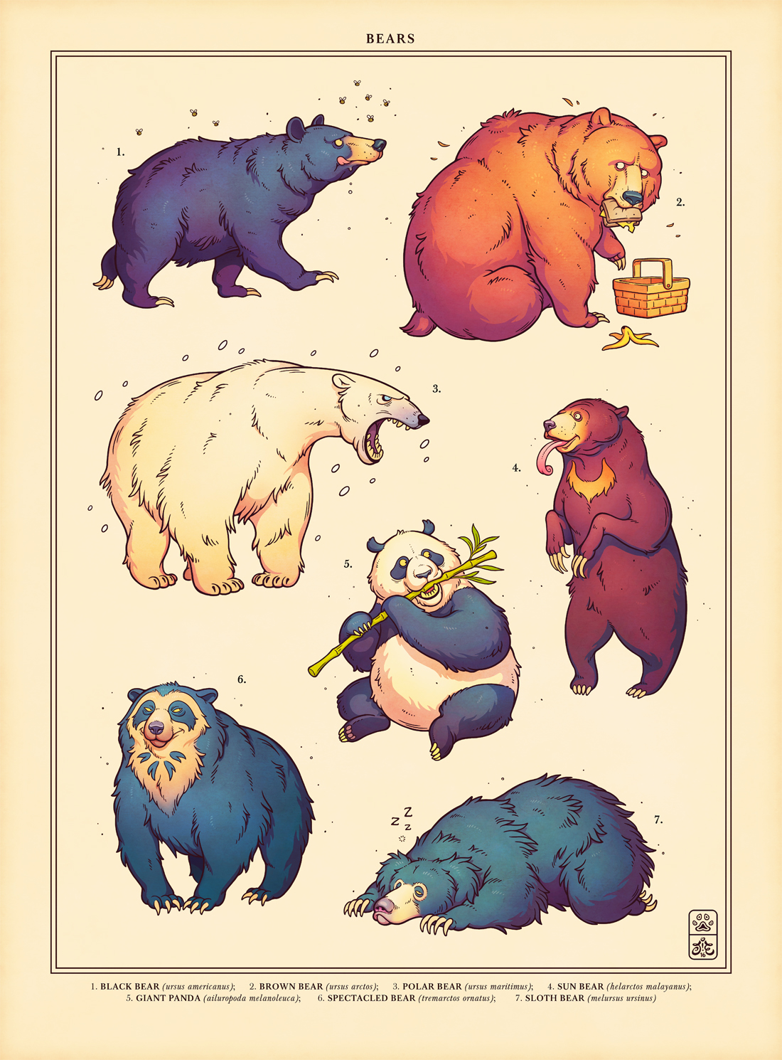 Bear Week