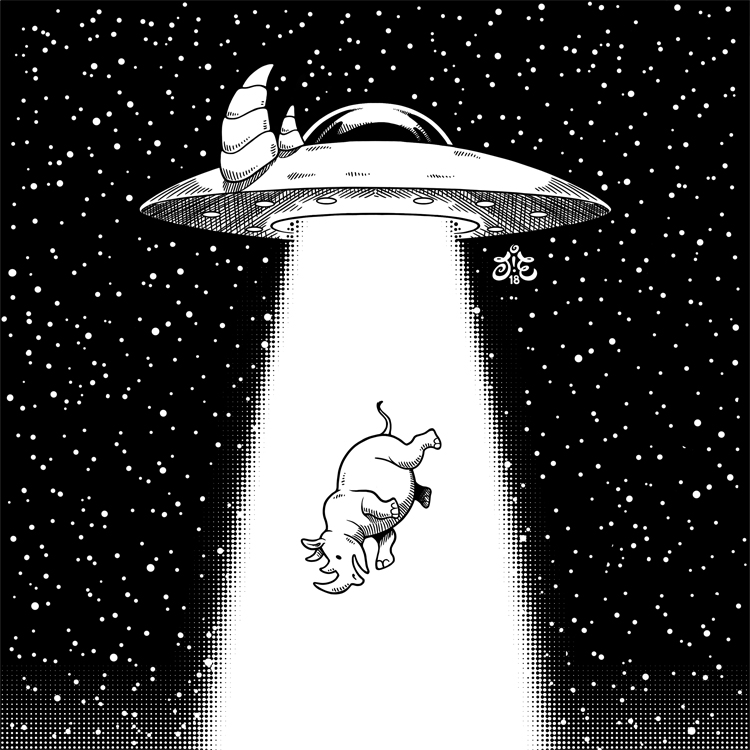 20th of Rhinoary: UFO