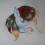 Free Requests: Rainbow Black