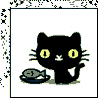 Black kitty anim