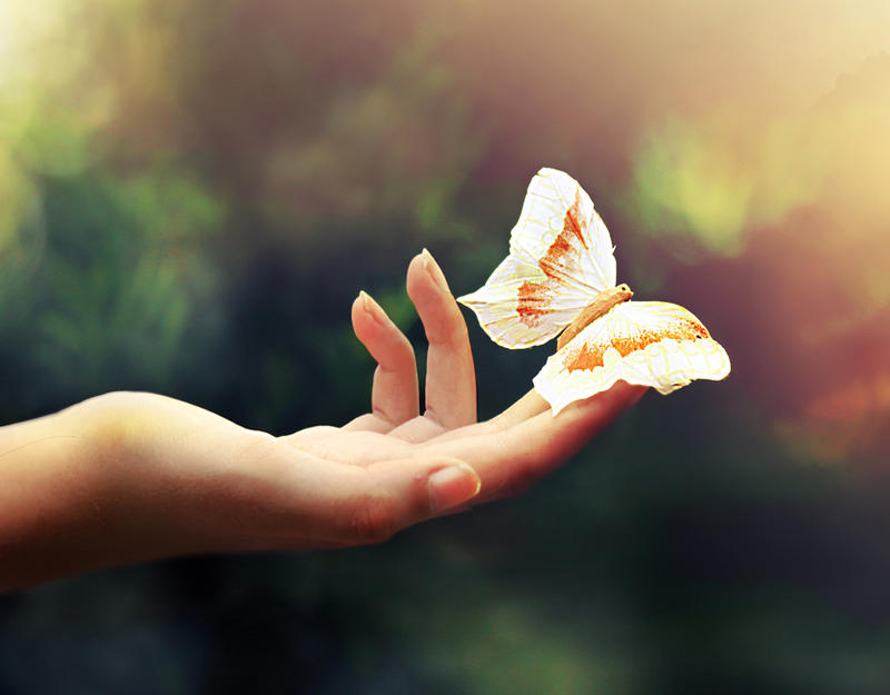 Butterflies and Hurricanes. by me3009