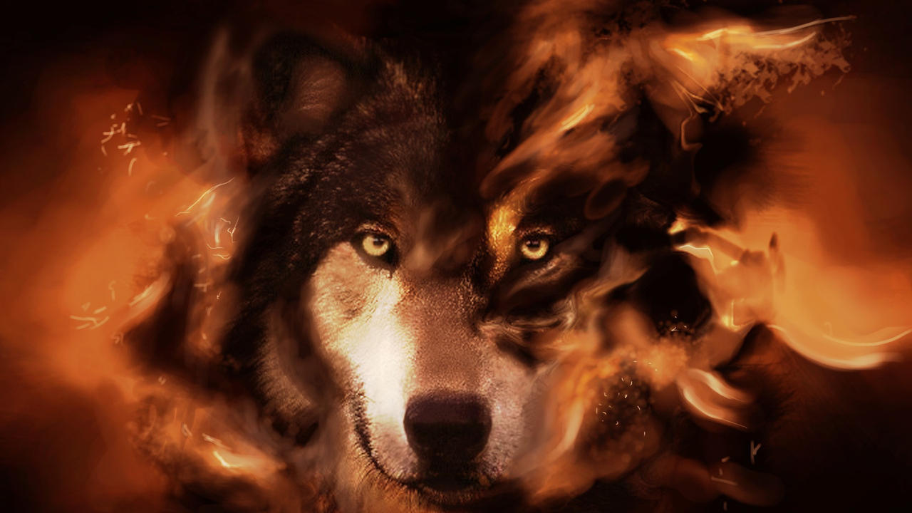 The Wolf Wallpapers Hd Free Animals Images The By Nero8dmc On Deviantart The Wolf Wallpapers Hd Free Animals Images The By Nero8dmc On Deviantart