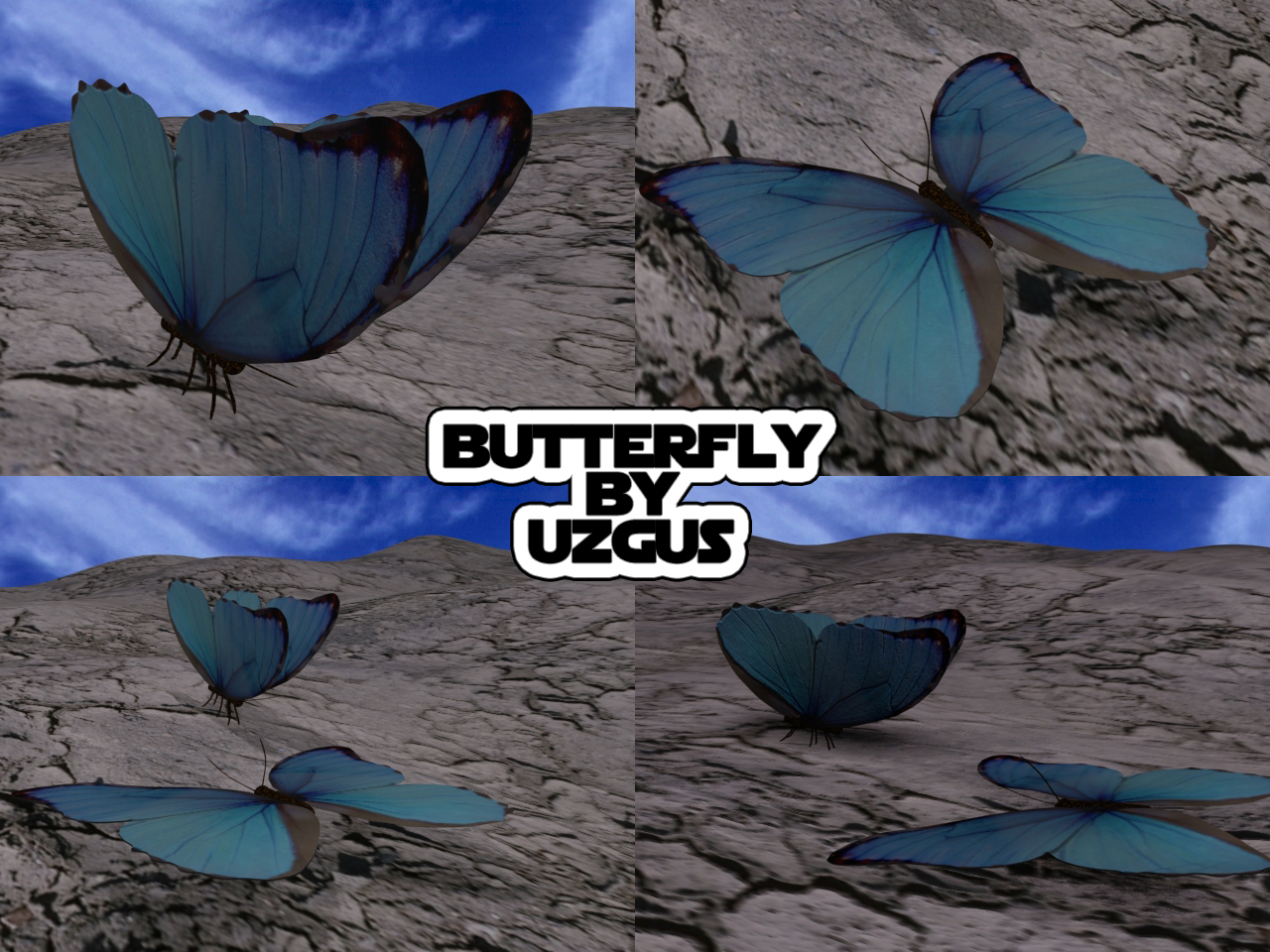 3d butterfly