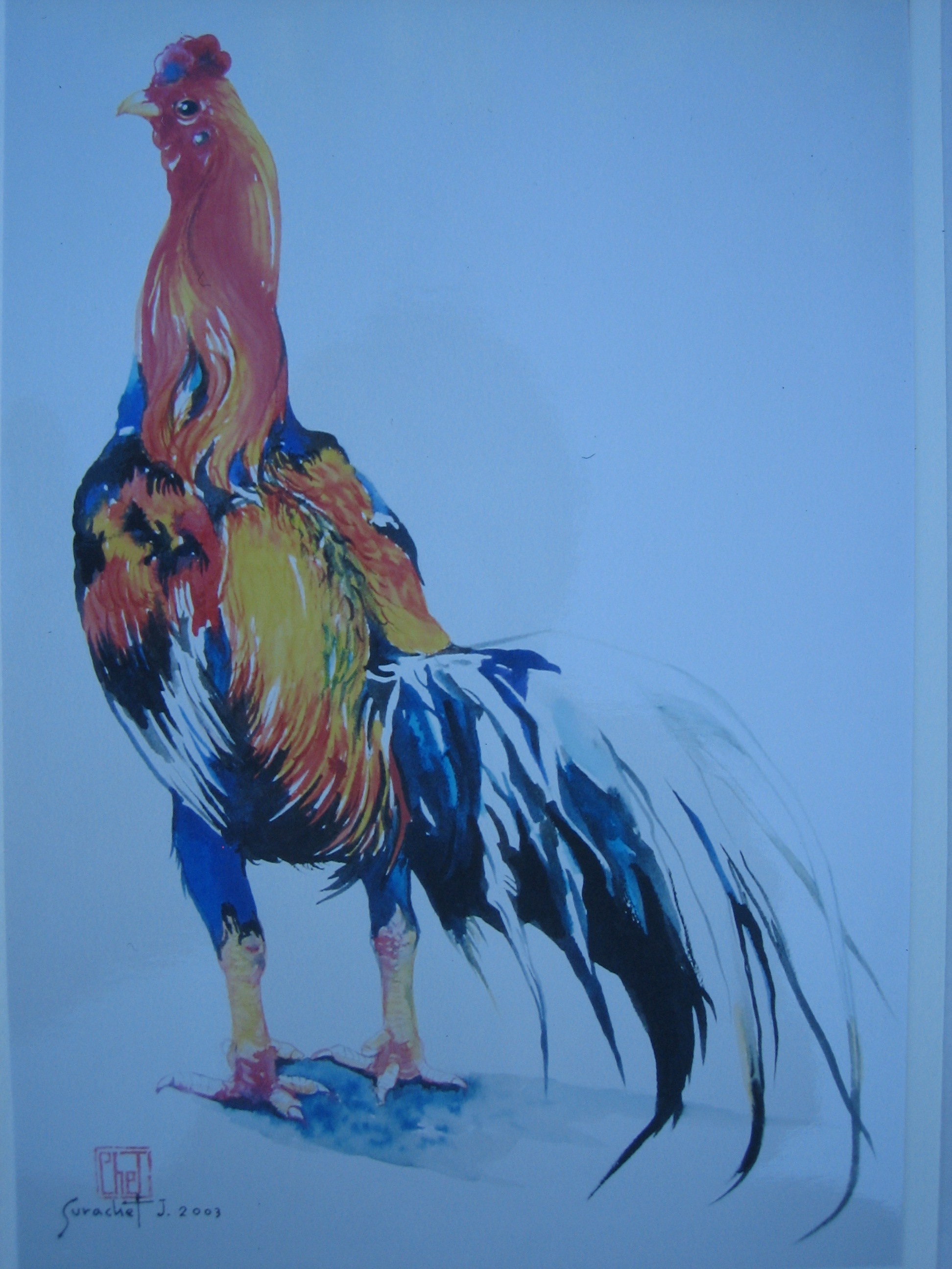 Fighting Roosters Drawings