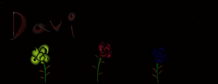 My roses