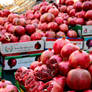 AMAZING POMEGRANATES