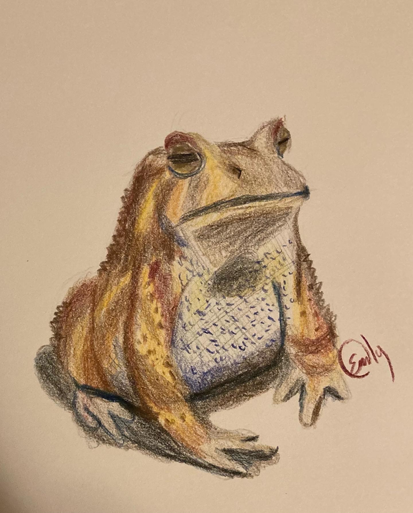 Toad (Judge Riffs) by LilacDuckie on DeviantArt