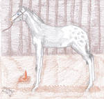 Tango ACBC ES 2012 by Niur-Tarow