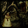 Silly Snapshot in Spooky Woods
