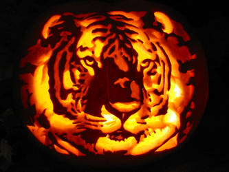 Tiger Pumpkin Carving by Armuri