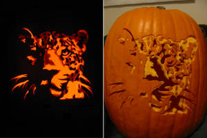 Real Leopard Pumpkin Carving