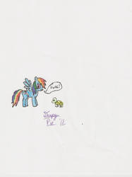 Rainbow Dash 1