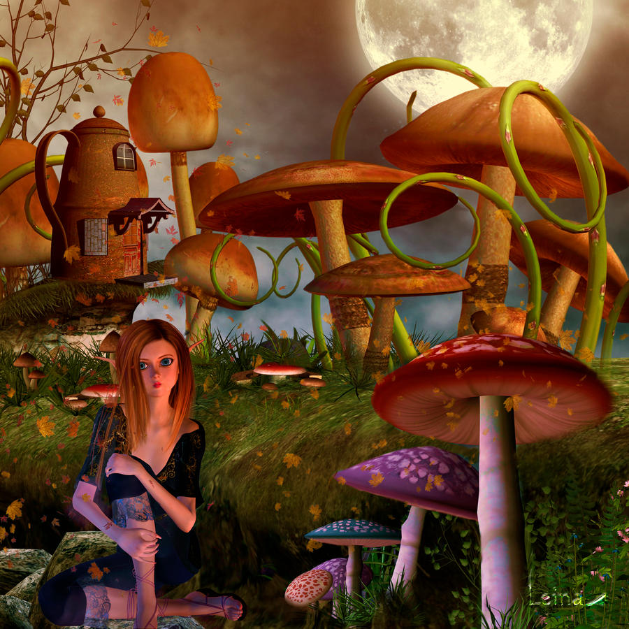 In the mushrooms forest