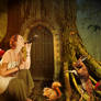 Enchanted forest
